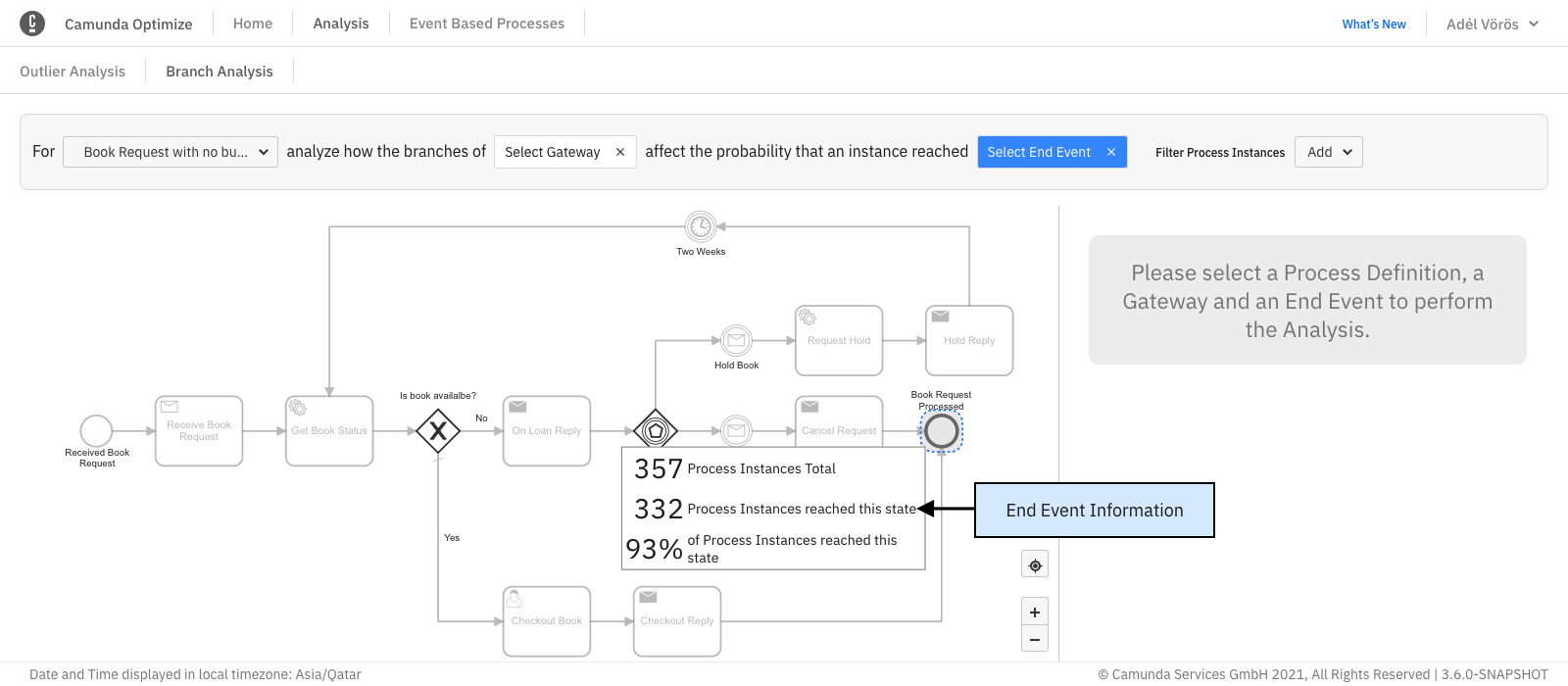 branch analysis