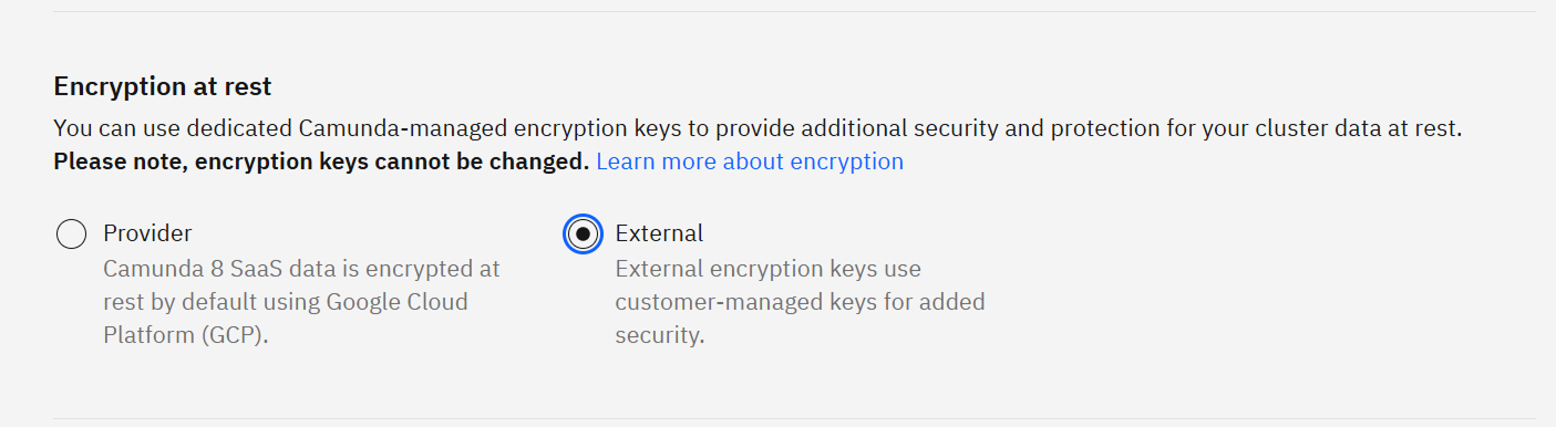 external option encryption at rest